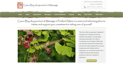 Desktop Screenshot of cascobayacupuncturemassage.com